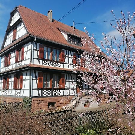 Appartement Et Terrasse Privee Ingolsheim Bagian luar foto