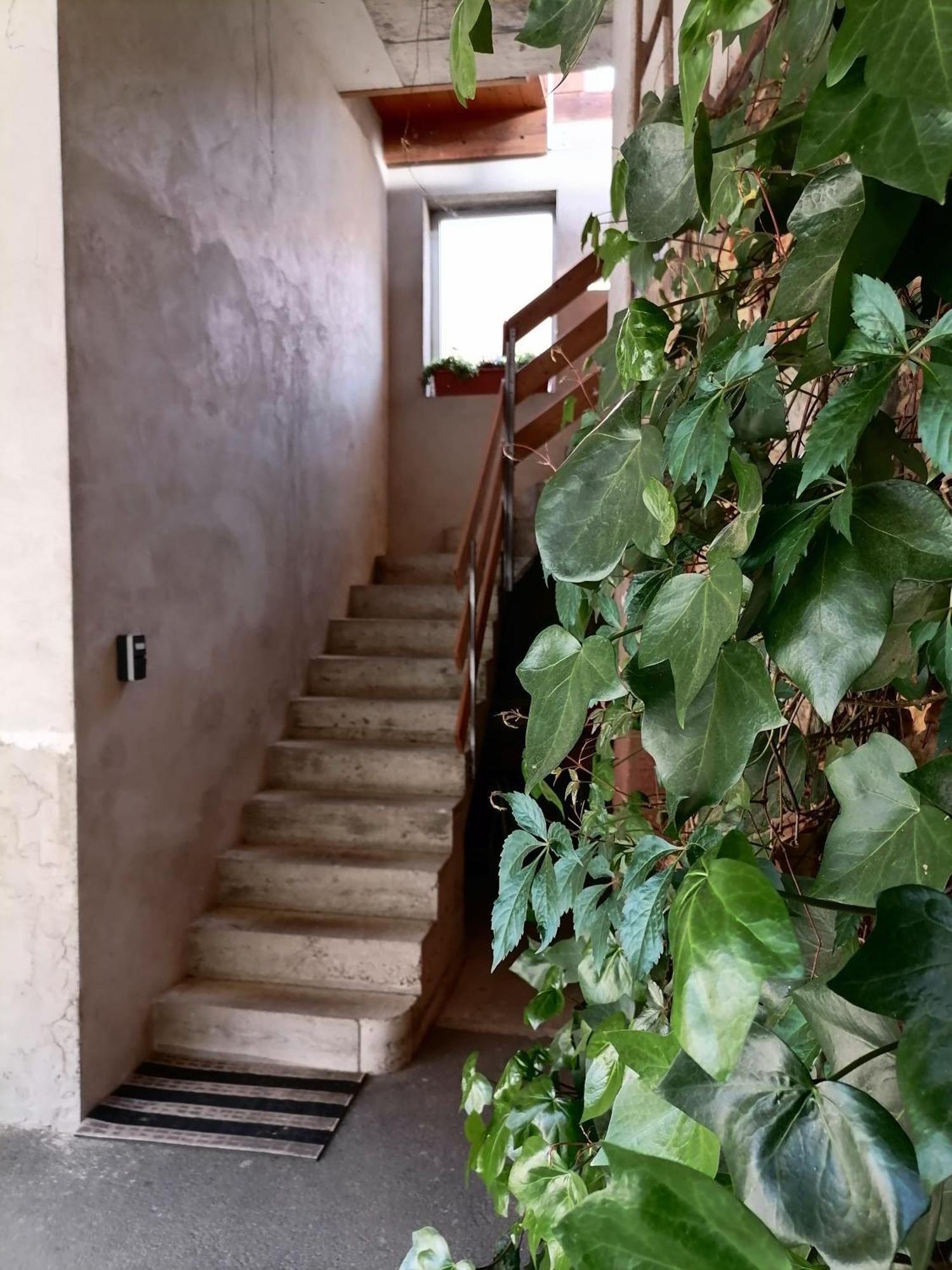 Appartement Et Terrasse Privee Ingolsheim Bagian luar foto