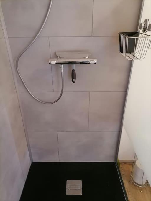 Appartement Et Terrasse Privee Ingolsheim Bagian luar foto